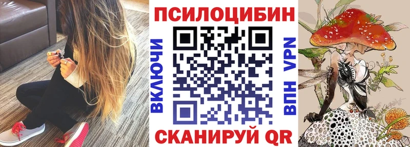 Купить где  Саранск  Галлюциногенные грибы Magic Shrooms 